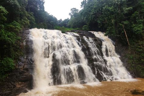 Coorg - Nature Explorers India