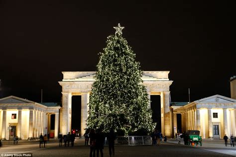 MailOnline Travel reveals the best Christmas trees in the world | Daily ...