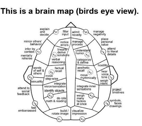 25+ bästa Brain mapping idéerna på Pinterest | Neurologi och Hjärnan