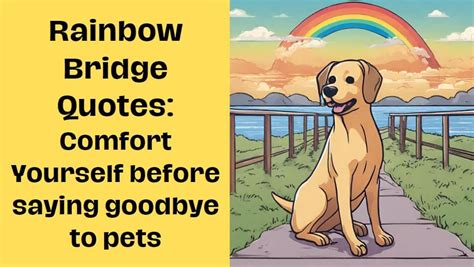 Rainbow Bridge Quotes: Comfort Yourself before saying goodbye to pets/ Dog - CaptionsStatus