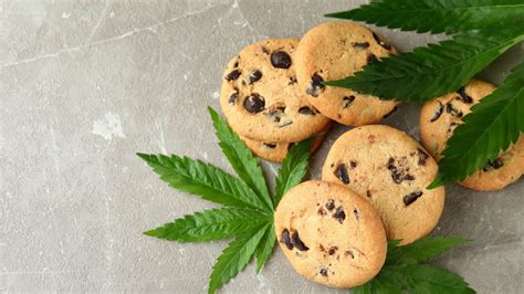 How to Make Cannabis Cookies: The Best Recipe for a Relaxing Evening