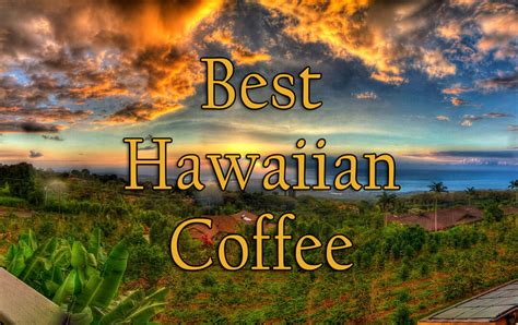 The 4 Best Hawaiian Coffee From Hawaii to Your Mug