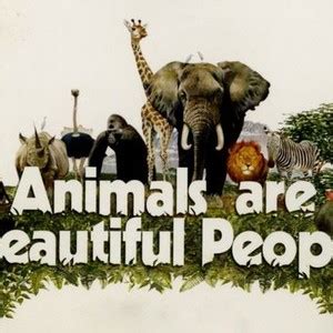 Animals Are Beautiful People - Rotten Tomatoes