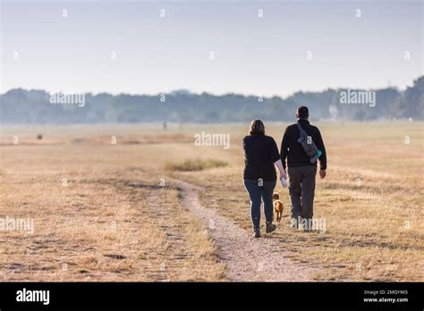 Forest Gate local area photography, London, UK, England Stock Photo - Alamy