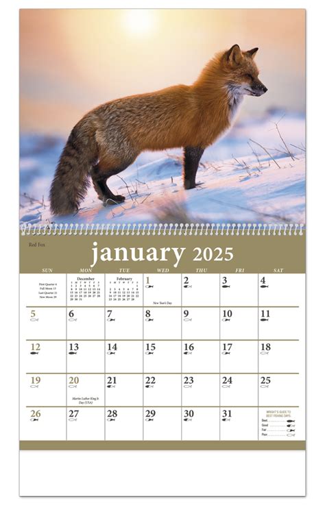 2025 North American Wildlife Calendar (1801) | 11" X 19" Imprinted ...