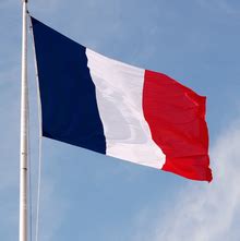 French Flag - France Photo (34378886) - Fanpop