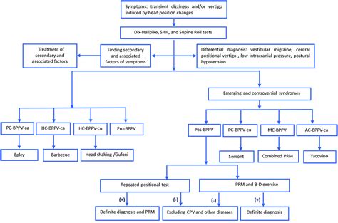 Frontiers | Clinical Characteristics of Patients With Benign Paroxysmal Positional Vertigo ...