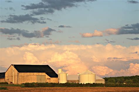 Grandparents & Grandchildren: Rural Landscape at Dusk