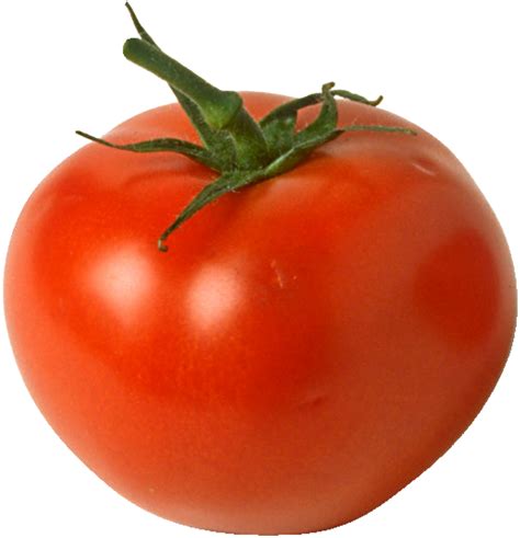 Tomato Free PNG Image - PNG All | PNG All
