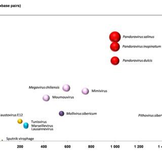 | Plot of the virion and genome sizes from representatives of giant... | Download Scientific Diagram