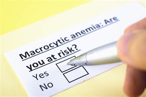 The Macrocytic anemia symptoms | etransplus.com