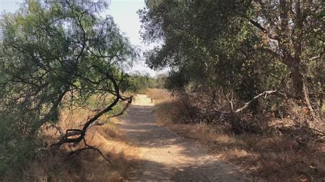 Video taken on Rancho Penasquitos trails in late 2018 | cbs8.com