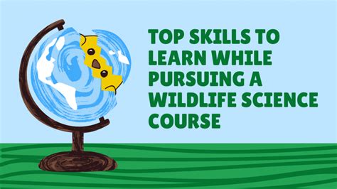 Top Skills to Learn While Pursuing a Wildlife Science Course - Businessfig