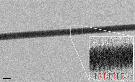 DNA Directly Photographed for First Time | Live Science