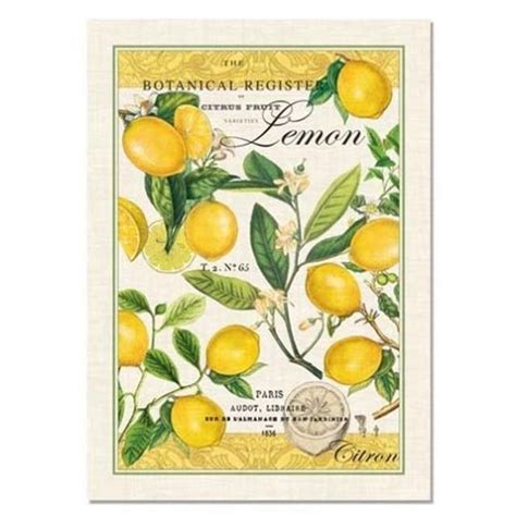 Michel Design Works Kitchen Towel - Lemon Basil - Gyftzz.com - Gifts ...