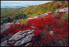 Acadia National Park - Large format photography - US National Parks Large Format stock photos ...