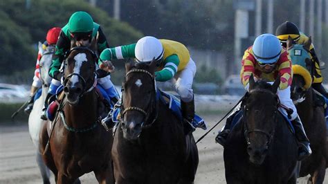 Programa para hoy en el hipódromo de La Plata