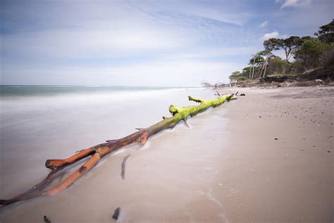 Beach Landscape At West Beach In The Western Pomerania Lagoon Area ...