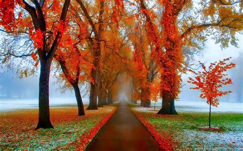 Autumn Wallpapers for Desktop (68+ images)