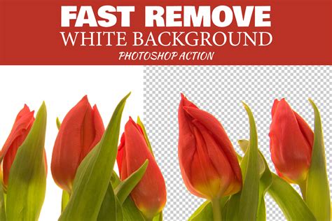 WHITE Background Remover Photoshop Action, Quick Extract Image - FilterGrade