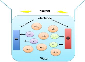 Weak Electrolyte: Definition & Examples - Video & Lesson Transcript | Study.com