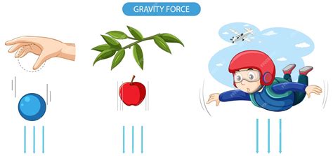 Free Vector | Gravity force experiment example