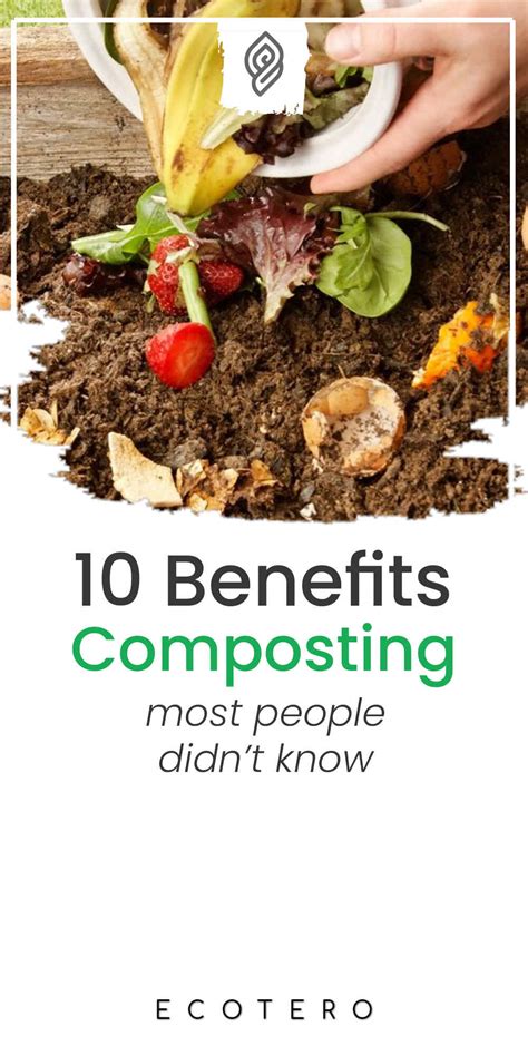 Top 10 Benefits of Composting for Humans & Environment | Ecotero