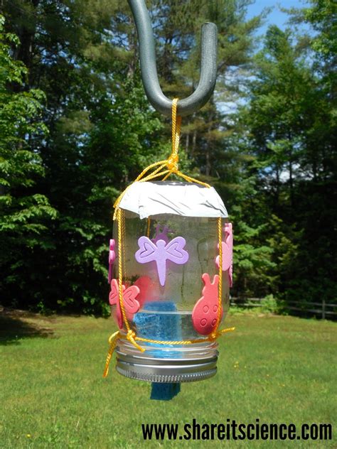 Share it! Science : The Great Backyard Butterfly Experiment!