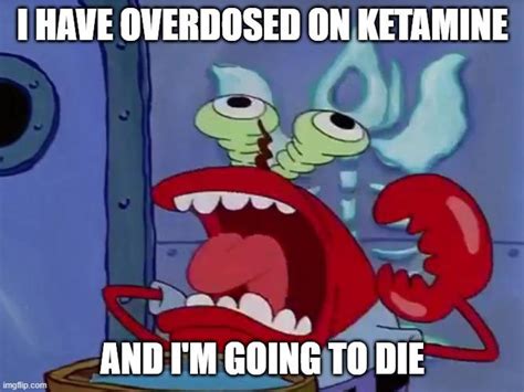 Mr. Krabs Overdoses on Ketamine | Know Your Meme