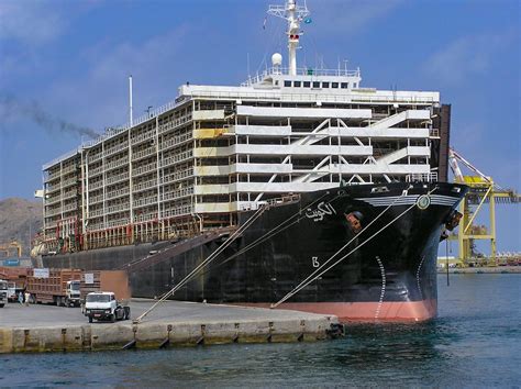 Livestock Carrier Escapes Brazil's Live Animal Export Ban