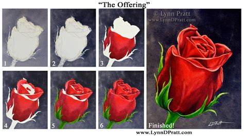 Step-by-Step Photos – Lynn D. Pratt Watercolors | Rose painting acrylic, Art tutorials ...