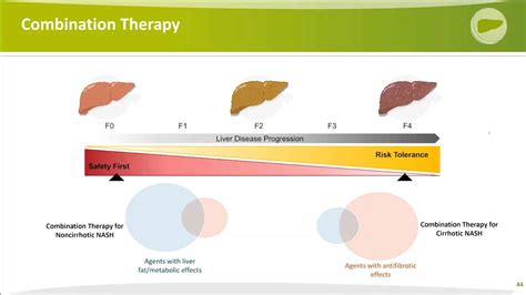 NASH Treatment: Review Of Current And Future Therapies For Non ...