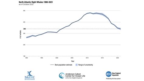 Concerning report shows critically endangered North Atlantic right ...