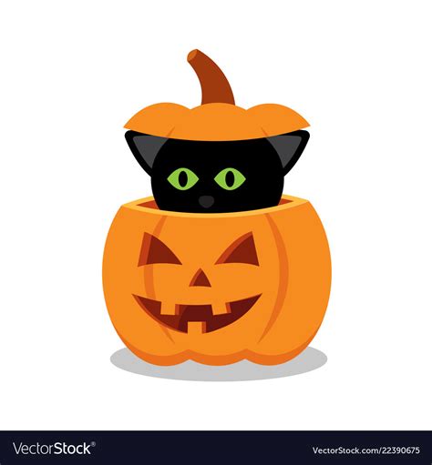 Cute Halloween Black Cat