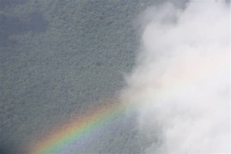 gold mining in guyana – destruction masquerading as progress photo by ...