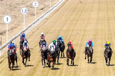 Fairview Tips | Best Bets and Predictions on July 13th