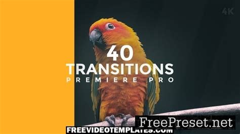 Transitions Premiere Pro - Video Template - 38682512