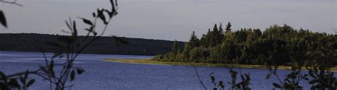 Park Research & Management - North Buck Lake Provincial Recreation Area | Alberta Parks