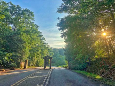 Gallery: State Botanical Garden of Georgia - UGA Today