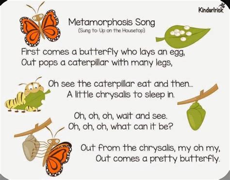 Caterpillar Life Cycle | Educare For Early Years