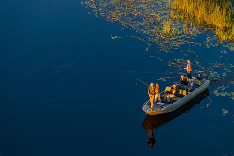 Okavango Delta Safaris & Tours | Safari in Okavango Delta | Discover ...