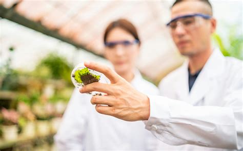 50 Best Universities for Plant Science - CID Bio-Science