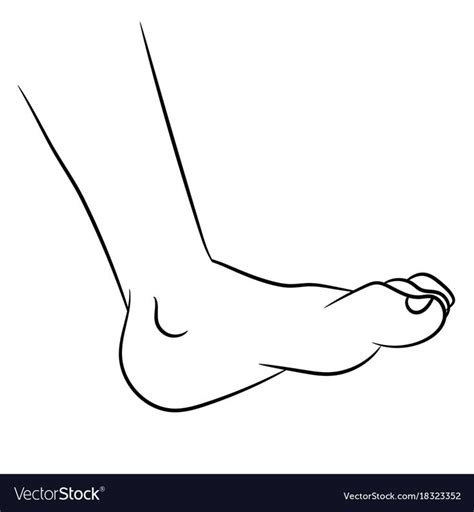 Foot cartoon - line drawn vector image on VectorStock | Vector drawing, Line drawing, Black and ...