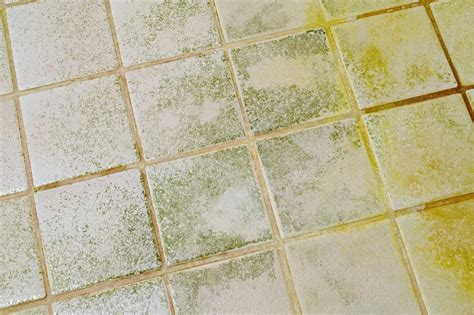 Orange Mold In Shower: Health Risks And How To Get Rid Of It