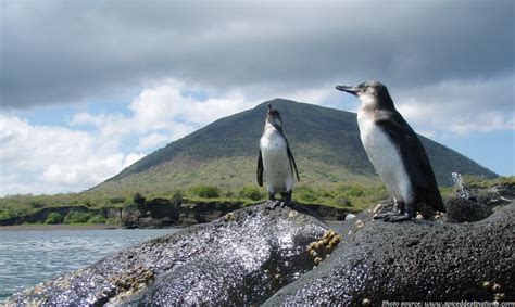 Interesting facts about Galapagos Islands | Just Fun Facts