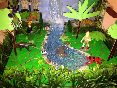 Pin by Getsi on Family | Rain forest diorama, Rainforest project ...