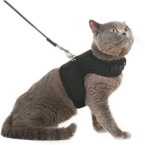 Best Escape Proof Cat Harnesses of 2022: Complete Reviews with ...