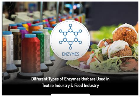 Different Types of Enzymes that are Used in Textile Industry & Food Industry - Ultreze Enzymes ...