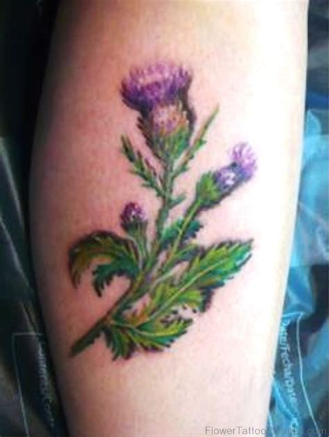 56 Adorable Alpine Thistle Flower Tattoos