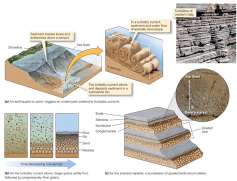 Learning Geology: Sedimentary structures